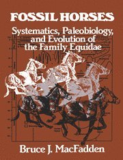 Bruce J. (University of Florida) MacFadden, Bruce J. Macfadden - Fossil Horses, Häftad