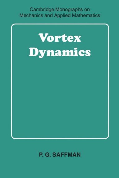 bokomslag Vortex Dynamics