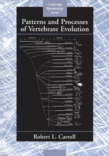 bokomslag Patterns and Processes of Vertebrate Evolution