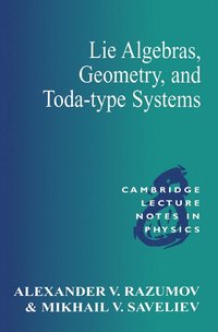 bokomslag Lie Algebras, Geometry, and Toda-Type Systems