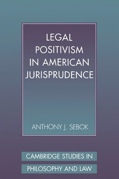 bokomslag Legal Positivism in American Jurisprudence