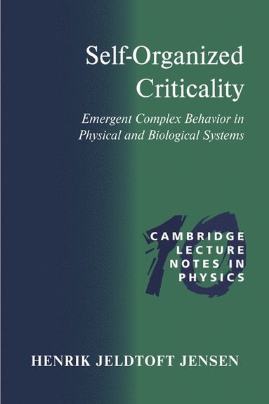 bokomslag Self-Organized Criticality