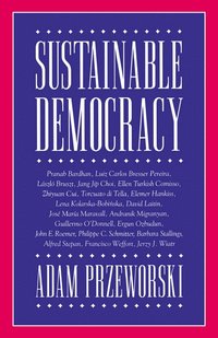 bokomslag Sustainable Democracy