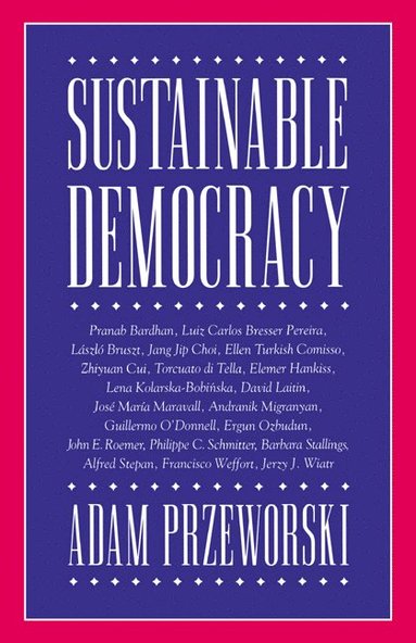 bokomslag Sustainable Democracy