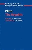 bokomslag Plato: 'The Republic'