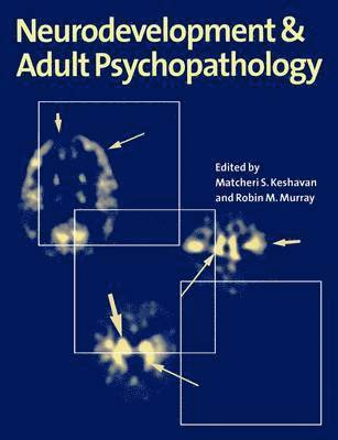 bokomslag Neurodevelopment and Adult Psychopathology