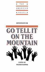 bokomslag New Essays on Go Tell It on the Mountain