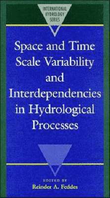 bokomslag Space and Time Scale Variability and Interdependencies in Hydrological Processes