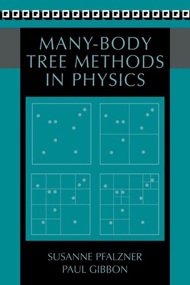 Susanne Pfalzner, Paul Gibbon - Many-Body Tree Methods in Physics, Inbunden