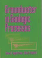 Steven E. Ingebritsen, Ward E. Sanford - Groundwater in Geologic Processes, Inbunden