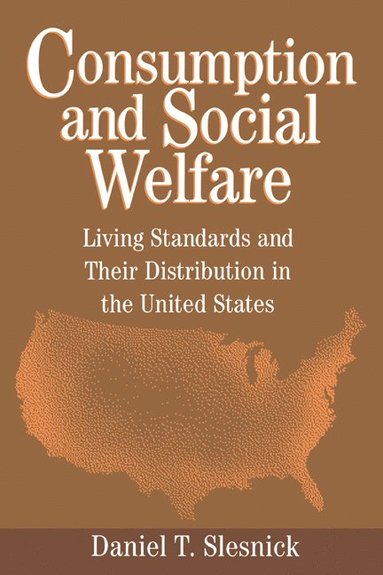 bokomslag Consumption and Social Welfare: Living Standards and Their Distribution in the United States