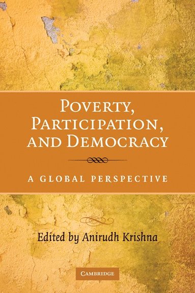 bokomslag Poverty, Participation, and Democracy