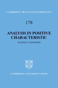 bokomslag Analysis in Positive Characteristic