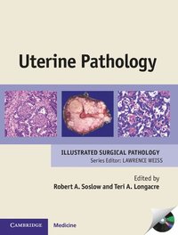 bokomslag Uterine Pathology