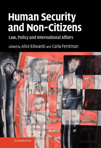 Alice Edwards, Carla Ferstman - Human Security and Non-Citizens, Inbunden