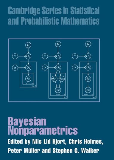Nils Lid Hjort, Chris Holmes, Peter Müller, Stephen G. Walker - Bayesian Nonparametrics, Inbunden