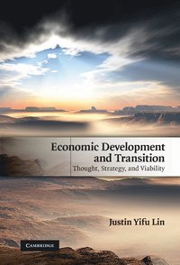 bokomslag Economic Development and Transition