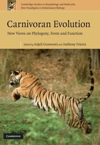 Anjali Goswami, Anthony Friscia - Carnivoran Evolution, Inbunden