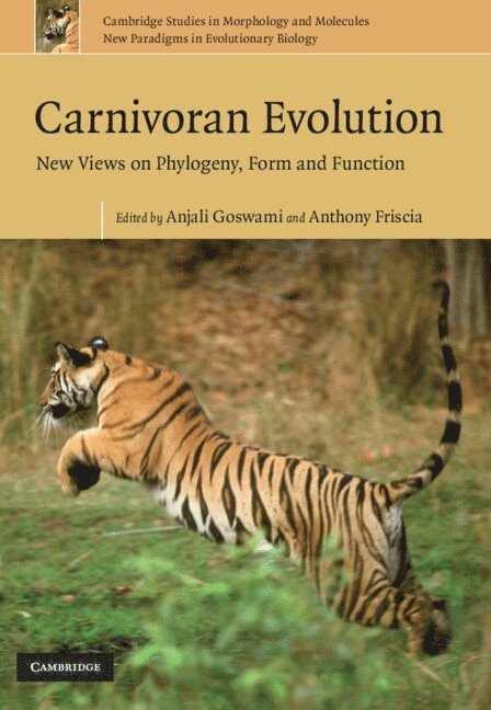 Carnivoran Evolution 1