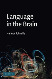 bokomslag Language in the Brain