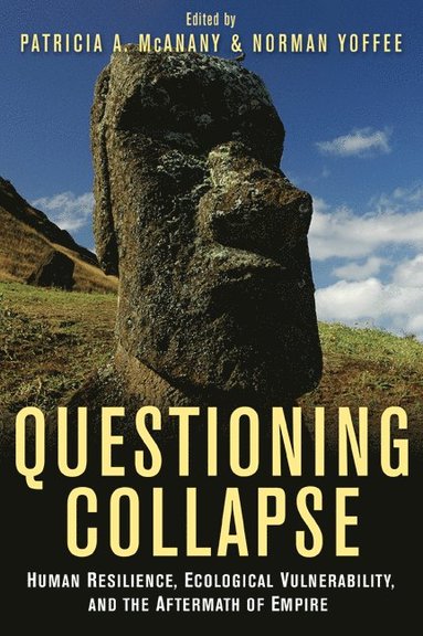 bokomslag Questioning Collapse