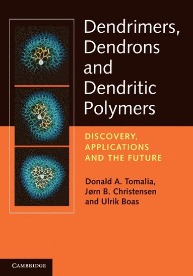 bokomslag Dendrimers, Dendrons, and Dendritic Polymers
