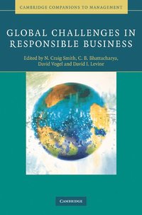 bokomslag Global Challenges in Responsible Business