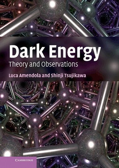 Luca Amendola, Shinji Tsujikawa - Dark Energy, Inbunden