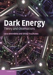 bokomslag Dark Energy