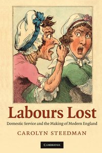 bokomslag Labours Lost
