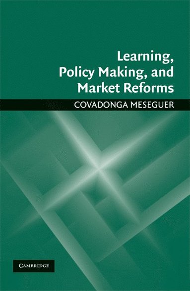 bokomslag Learning, Policy Making, and Market Reforms