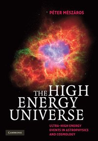 bokomslag The High Energy Universe