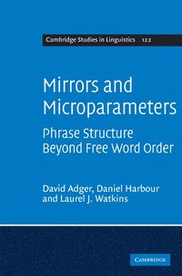 bokomslag Mirrors and Microparameters