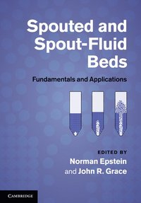 bokomslag Spouted and Spout-Fluid Beds
