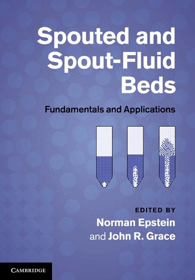 Norman Epstein, John R. Grace - Spouted and Spout-Fluid Beds, Inbunden