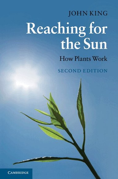 John King - Reaching for the Sun, Inbunden