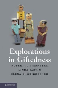 bokomslag Explorations in Giftedness