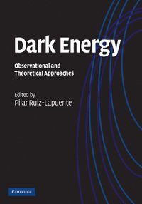 bokomslag Dark Energy