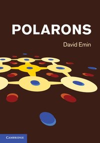 bokomslag Polarons