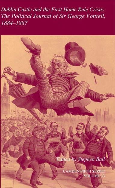 Stephen Ball - Dublin Castle and the First Home Rule Crisis: Volume 33, Inbunden