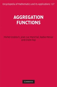 bokomslag Aggregation Functions