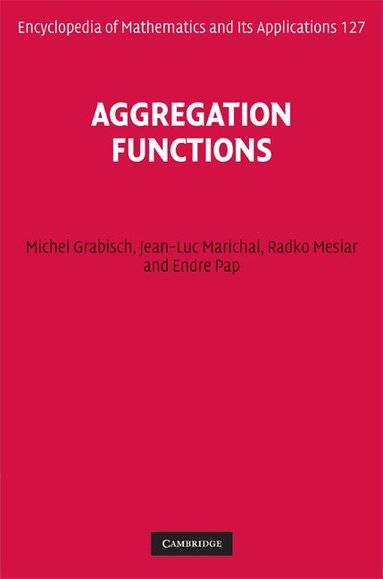 Michel Grabisch, Jean-Luc Marichal, Radko Mesiar, Endre Pap - Aggregation Functions, Inbunden