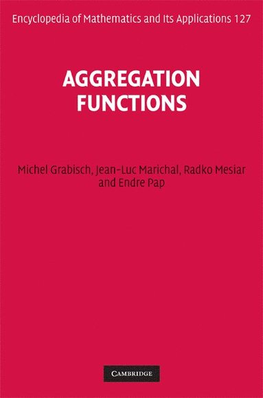 bokomslag Aggregation Functions