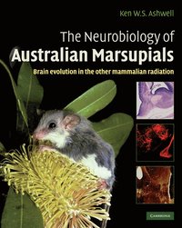 bokomslag The Neurobiology of Australian Marsupials