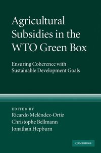 bokomslag Agricultural Subsidies in the WTO Green Box