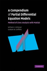 bokomslag A Compendium of Partial Differential Equation Models