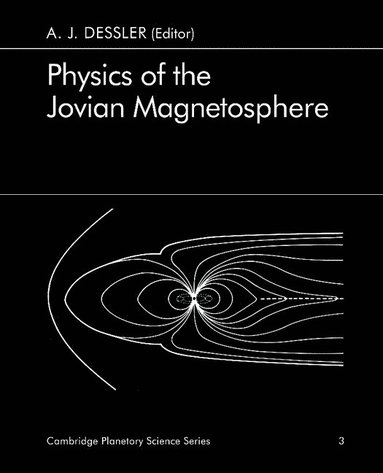 bokomslag Physics of the Jovian Magnetosphere