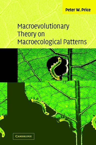 Peter W. Price - Macroevolutionary Theory on Macroecological Patterns, Häftad
