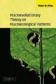 Macroevolutionary Theory on Macroecological Patterns 1