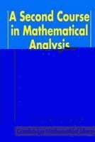 bokomslag A Second Course in Mathematical Analysis